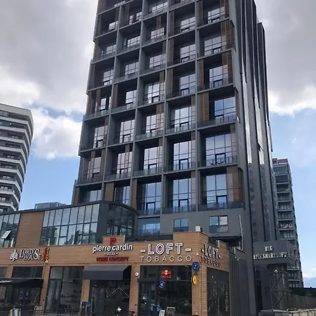 Luxury Loft Residance *